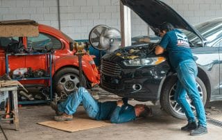 incentivo ao abate 2025